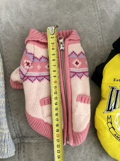 Одежда для собак