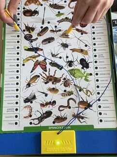 Игра conector Животный мир от Educa