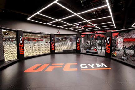 Абонемент UFC GYM 1 месяц