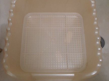 Лоток