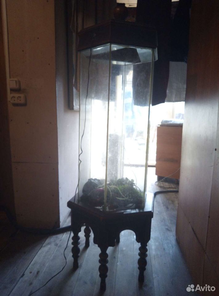 Аквариум