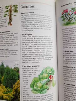 1000 советов и идей для вашего сада