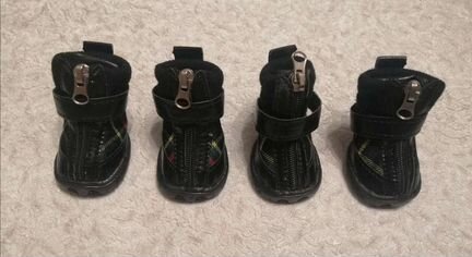 Ботинки для чихуахуа,йорка,шпица, той терьера