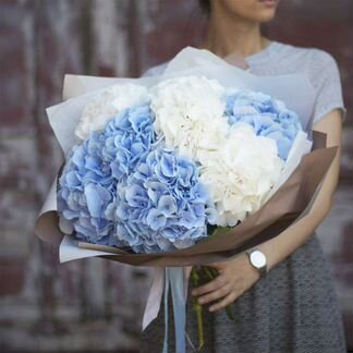 Гортензия букет из Гортензий
