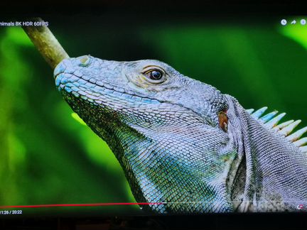 Экран для проектора 125