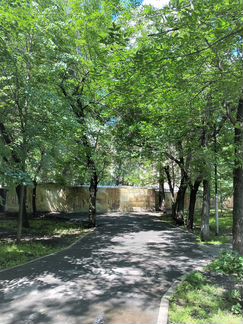 Квартира-студия, 17.7 м², 1/5 эт.