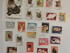 Почтовые марки, тематика Кошки