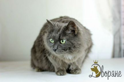 Невероятный красавец Сеня