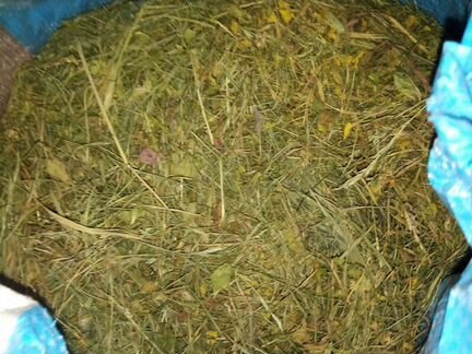 Сено дачное, клевер