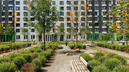 3-к квартира, 81.2 м², 17/17 эт.
